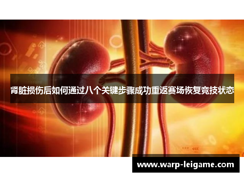 肾脏损伤后如何通过八个关键步骤成功重返赛场恢复竞技状态
